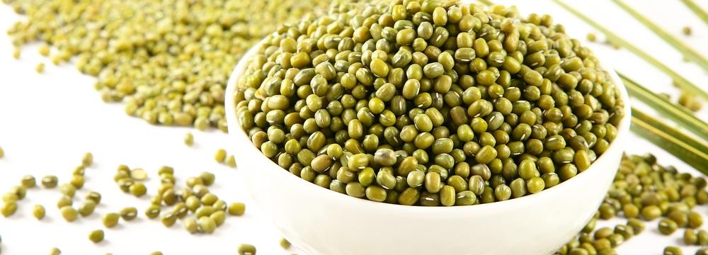 Zelené fazole mungo: výborný zdroj vlákniny, bílkovin a kyseliny listové