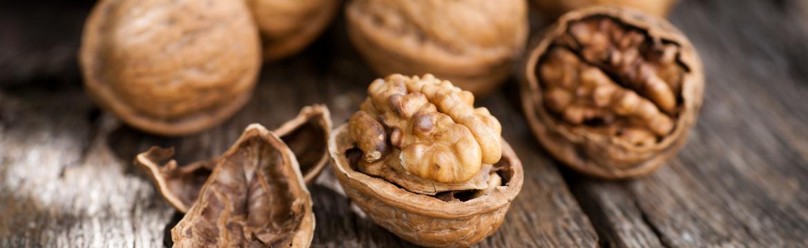 Česká pýcha: vlašské ořechy s jedinečnými výživovými vlastnostmi