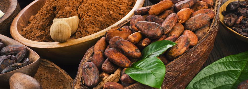 Kakao, káva a další potraviny z udržitelných zdrojů – naučte se správně si vybírat