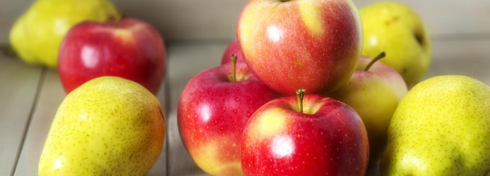 Jablka a hrušky jako symboly podzimu, rozebrané do detailu