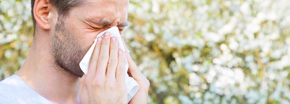Pylová sezóna začíná: Jak se alergie na pyl projevuje a kdo by si měl dávat pozor?