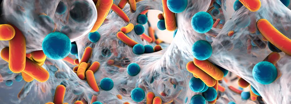5 nebezpečných bakterií, které vám mohou v běžném životě uškodit