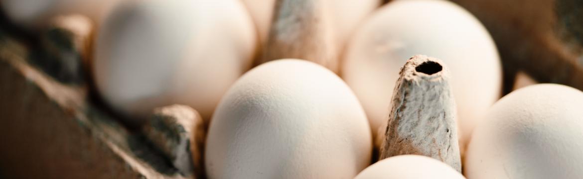 Bílá nebo tmavá skořápka: Jaká vejce se nejvíce hodí pro obarvení?