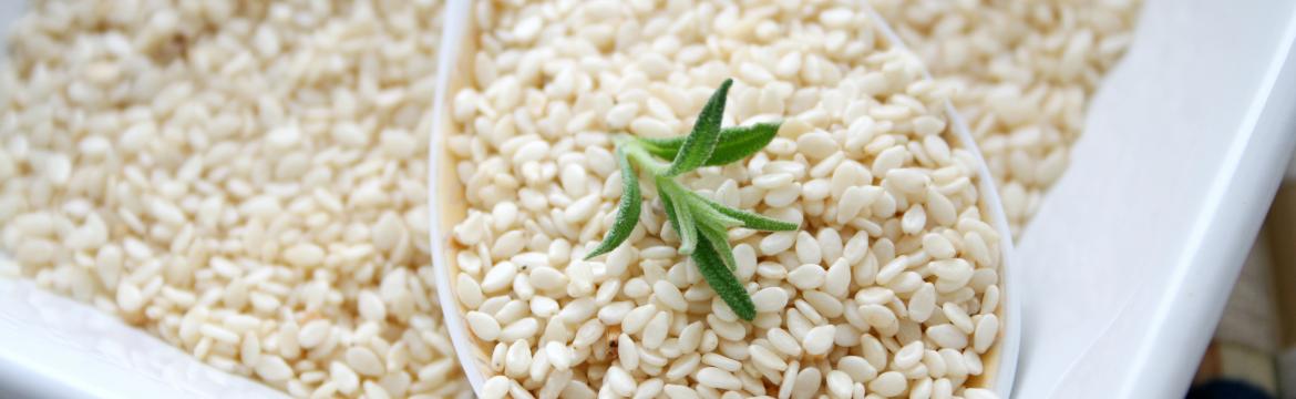 Sezamové semínko je jedním z nejbohatších zdrojů vápníku