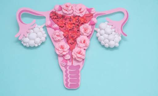 Čtyři týdny, čtyři chutě – jak nejen stravou zkrotit projevy menstruačního cyklu?
