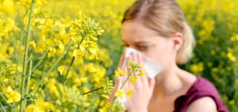 Žlutý pyl nepochází jen z řepky, ale ze silnějších alergenů. Jaké pyly jsou ve vzduchu?
