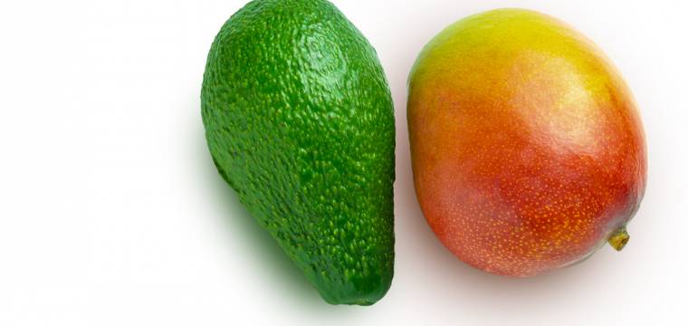 Mango a avokádo: Jak poznat zralost plodů a podle čeho tyto druhy ovoce vybírat?