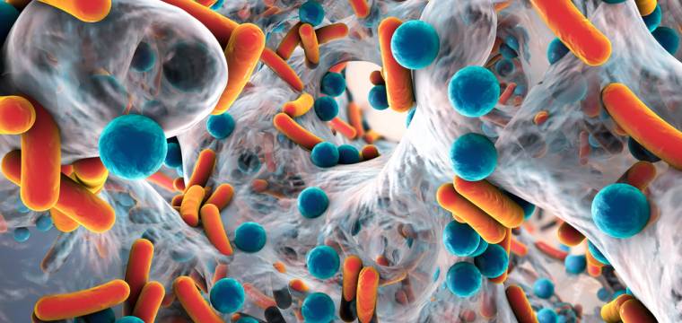 5 nebezpečných bakterií, které vám mohou v běžném životě uškodit
