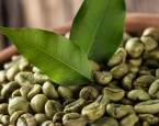 Zelená káva: ideální pomocník na cestě k vysněné postavě?