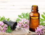 Růžové geránium – využití v aromaterapii a vliv na zdraví