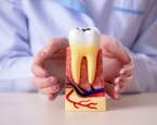 Trápí vás zánět dásní, zápach z úst a citlivé zuby? Poradíme vám, jak na léčbu a prevenci