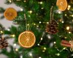 Citrusy a Vánoce – proč je milujeme a jak je využít v kuchyni i pro výzdobu?