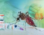 Vhodná očkování proti tropickým nemocem při cestování