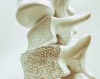 Světový den osteoporózy. Jaké jsou rizikové faktory onemocnění a jak preventivně upravit jídelníček?