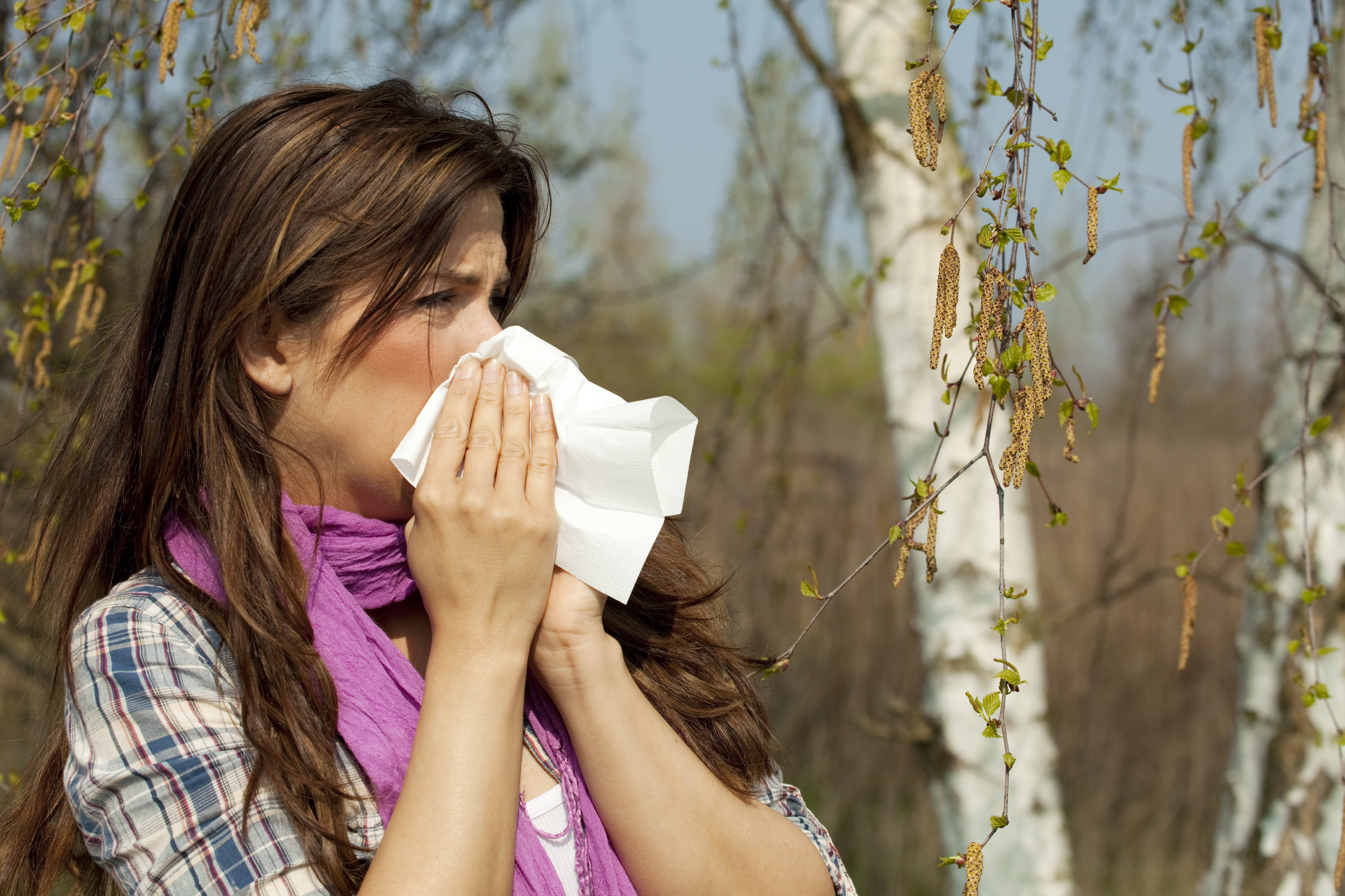 Симптомы аллергии на цветение. Аллергия на пыльцу. Весенняя аллергия. Весенний поллиноз.